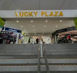 Lucky Plaza (D9), Shop House #520344731